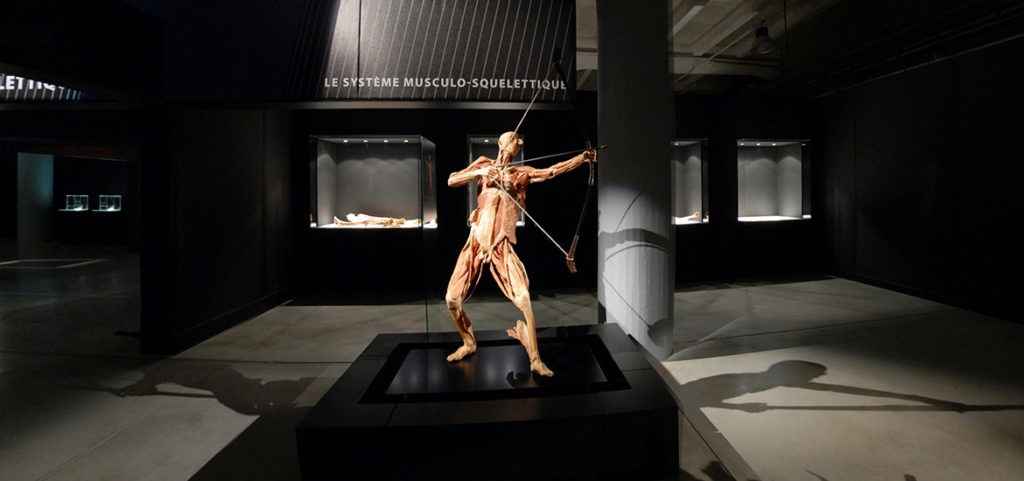 visite virtuelle exposition vrai corps humain