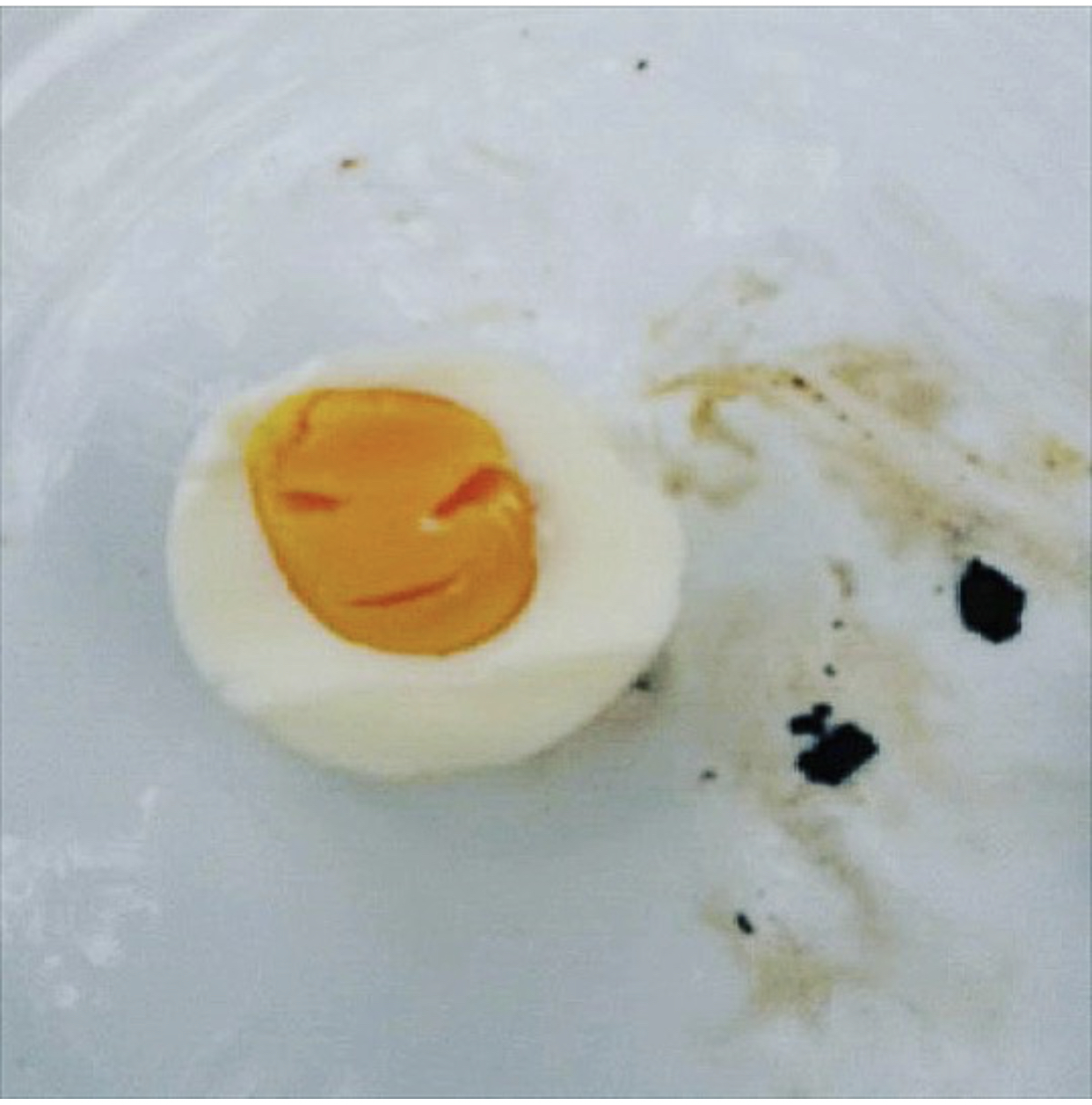 Mister Egg