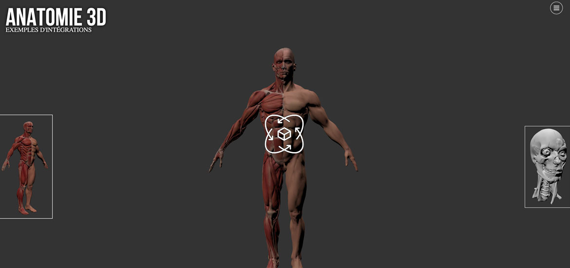 Visite virtuelle anatomie 3D
